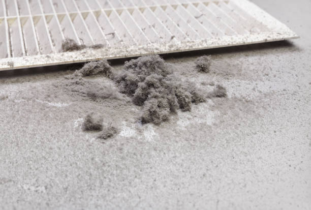 Best Home Air Vent Cleaning  in Mississippi State, MS